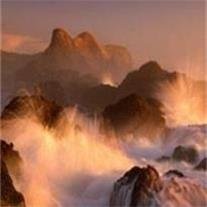 Benjamin Mark Hutchins