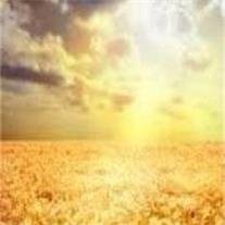 Erling Elgene Rasmussen