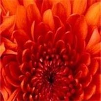 Mildred Louise Brown