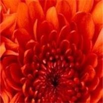 Verna Lucille Clemens