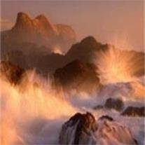 Bradley James Shepherd