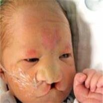 Preston Andrus Harris