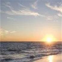 Mark Brinton Johnson