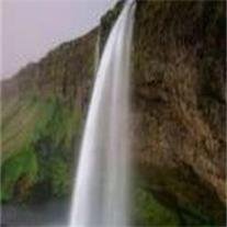 Ellen Schofield Robertson