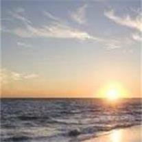 Albert Charles Levesque