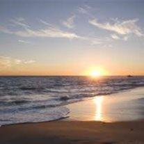 Sharon Ann Samarripa