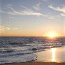 Malini O-Polinisia Maile