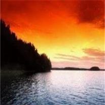 Willie Darrell Angle