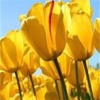 Patricia Ann Pierson