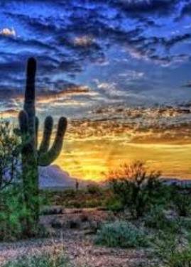 Jesus Sanchez-Vaquera