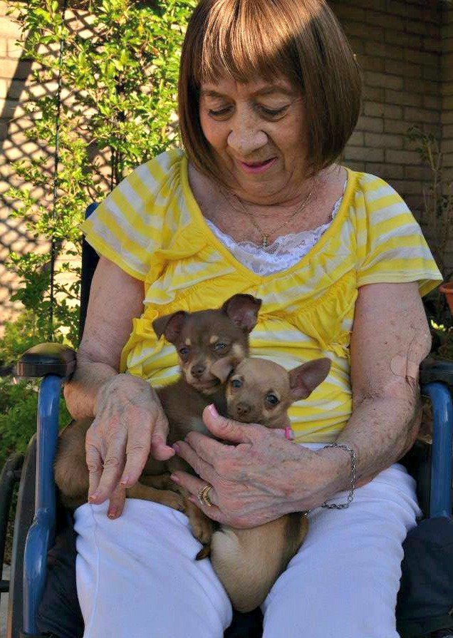 Cheryl Darlene Dreyer