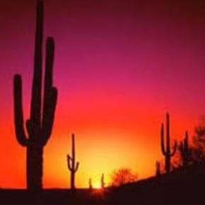 Dwayne Roger Awerkamp