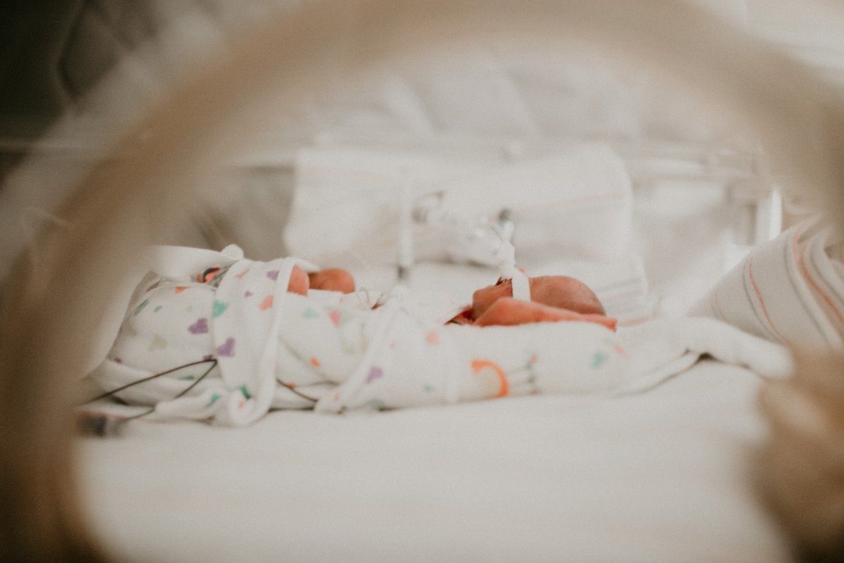 Harper Reece and Harlowe Rue McNeil — photo 6