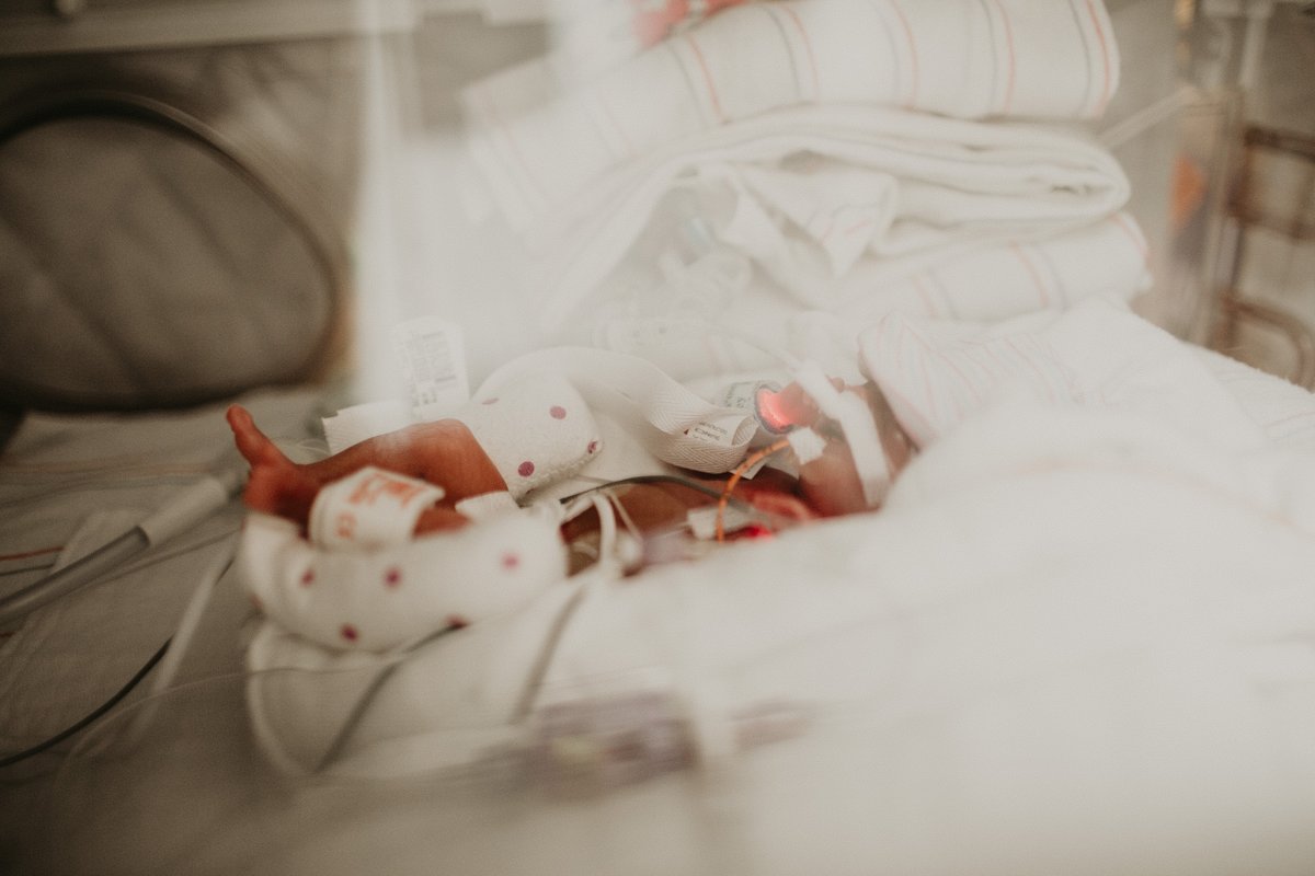 Harper Reece and Harlowe Rue McNeil — photo 7