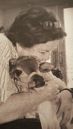 Merle D. Volrich — photo 6