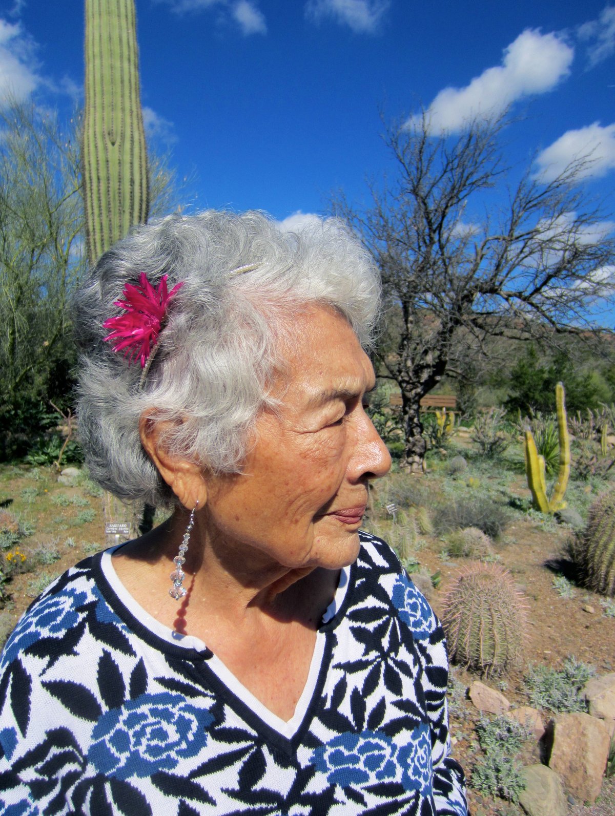 Maria Teresa Victoria Guerrero Jaimes