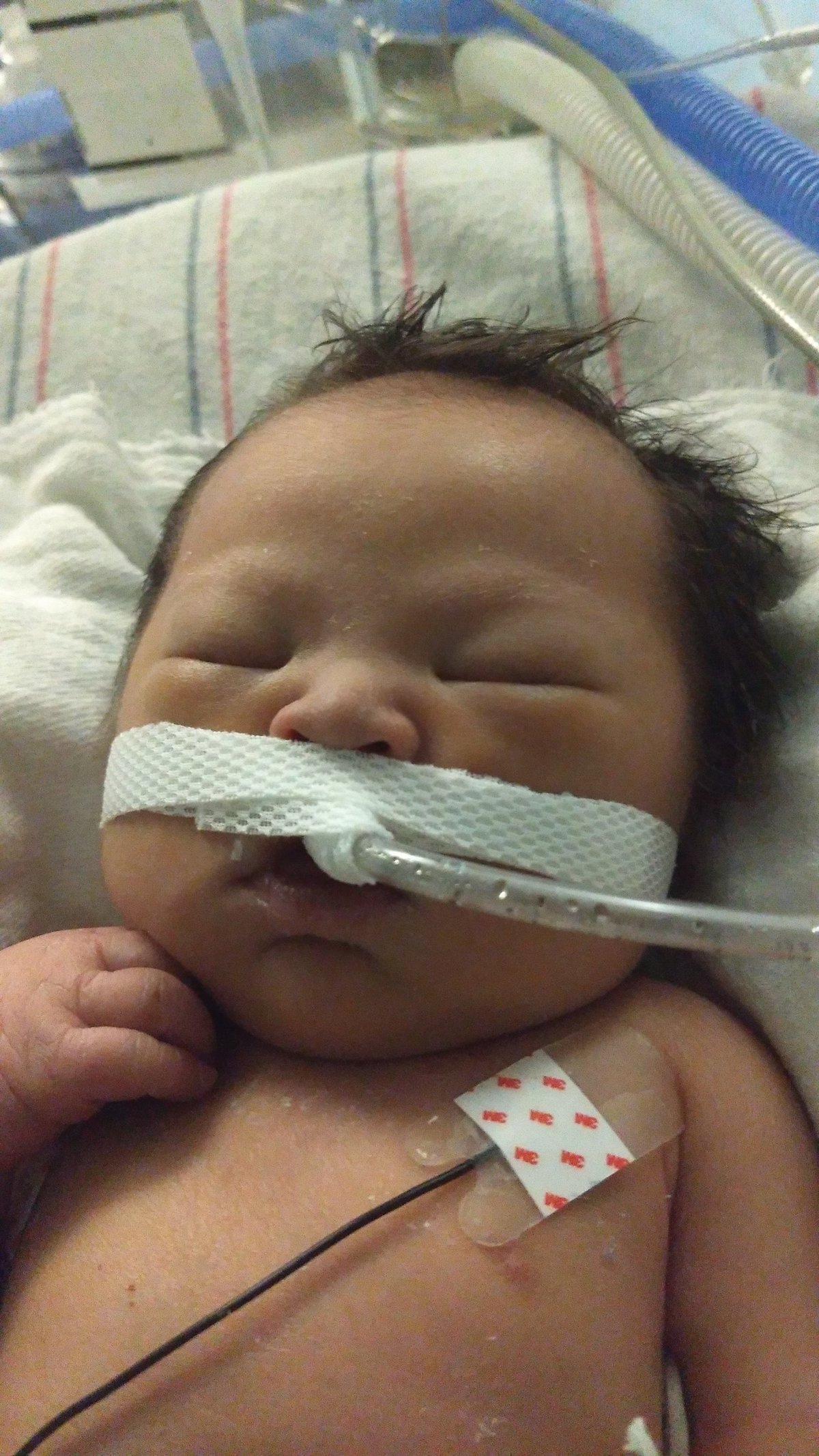 Jordan Hope Nicholas-Yeh