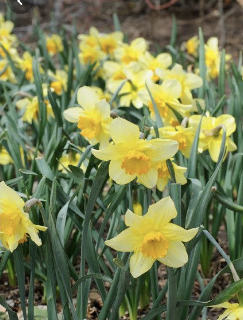 Rosa Lee Hemmen — photo 6