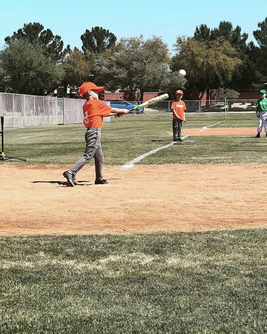 Theresa Ann Cantalice — photo 371