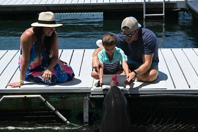 Theresa Ann Cantalice — photo 432