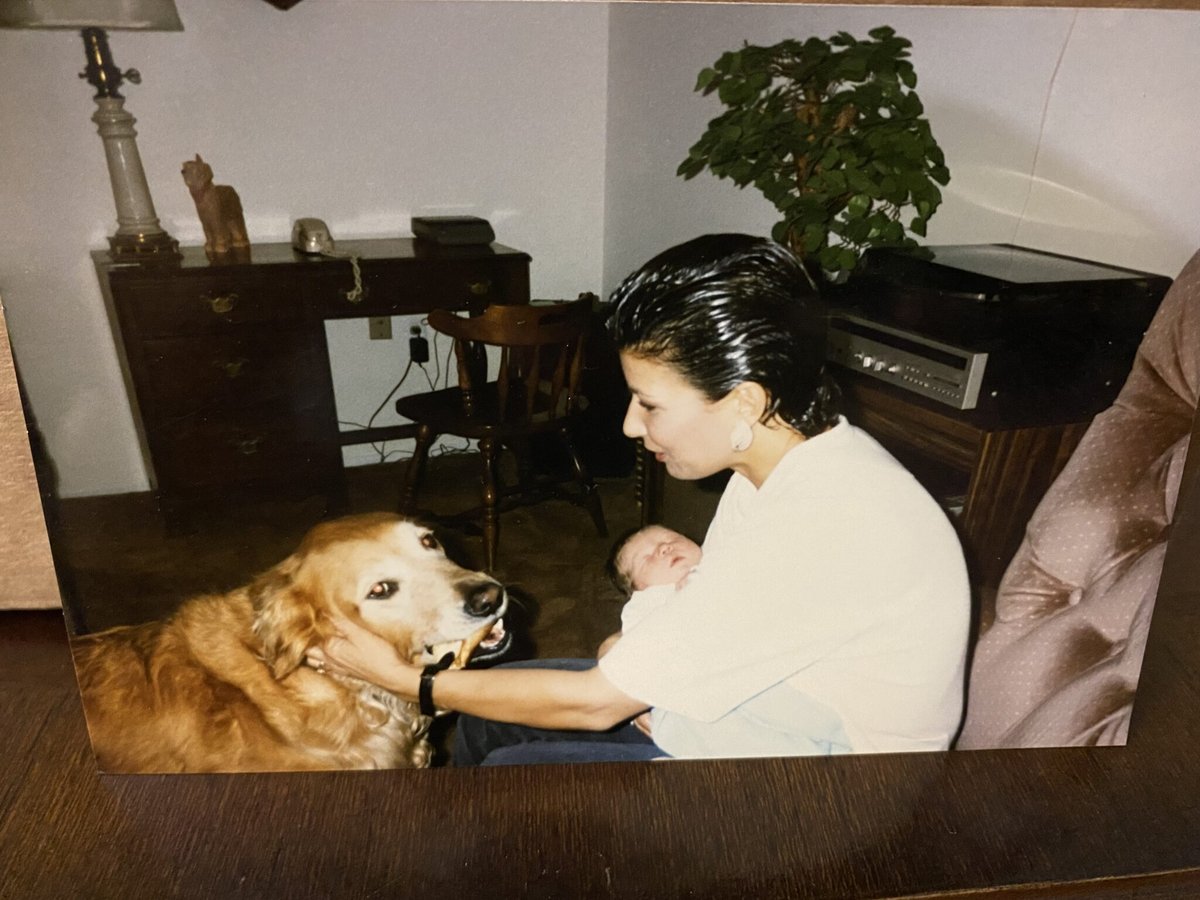 Theresa Ann Cantalice — photo 487