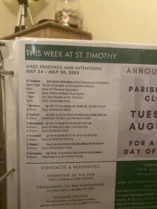 Theresa Ann Cantalice — photo 540