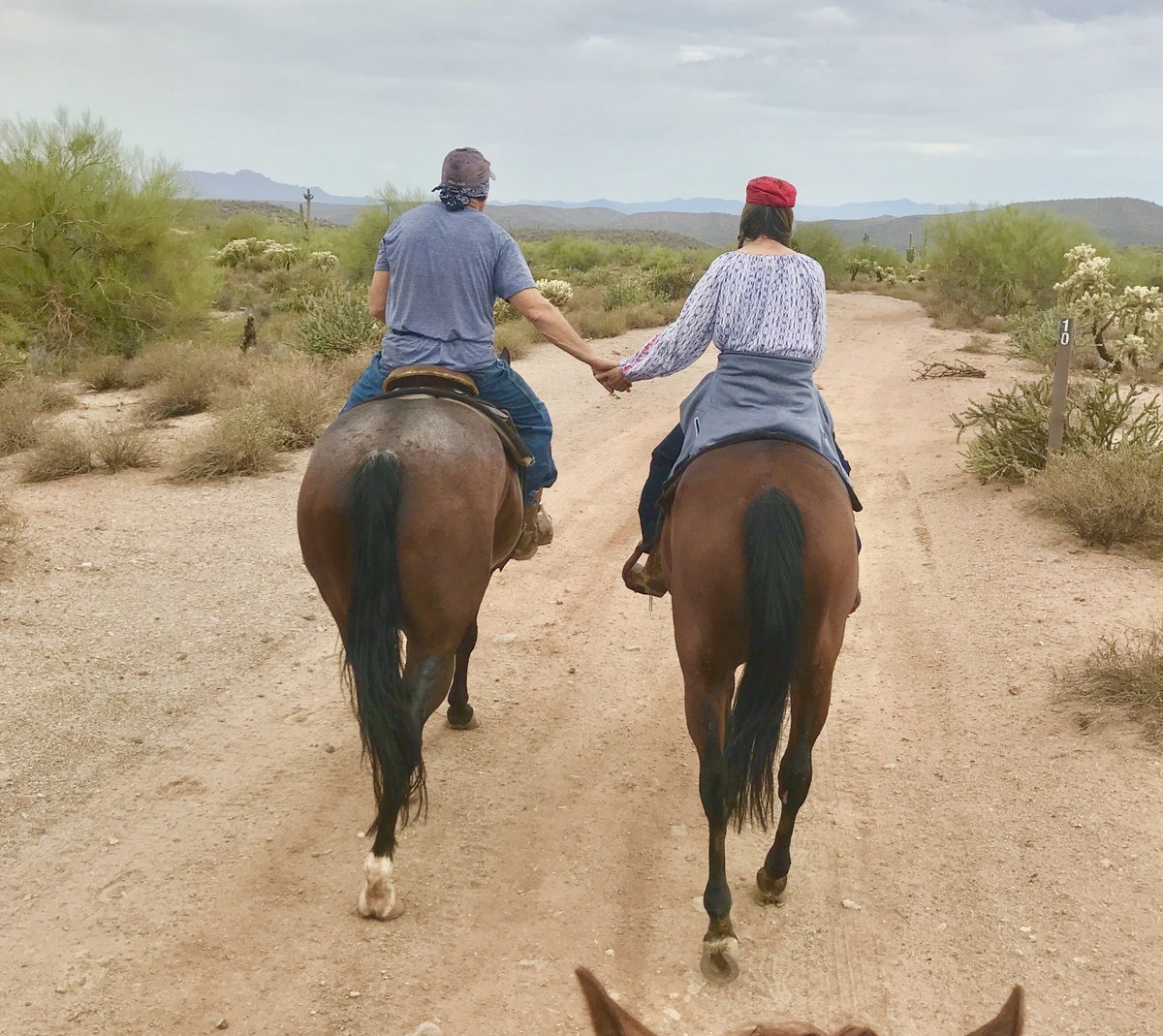 Julee Ann Brady — photo 5