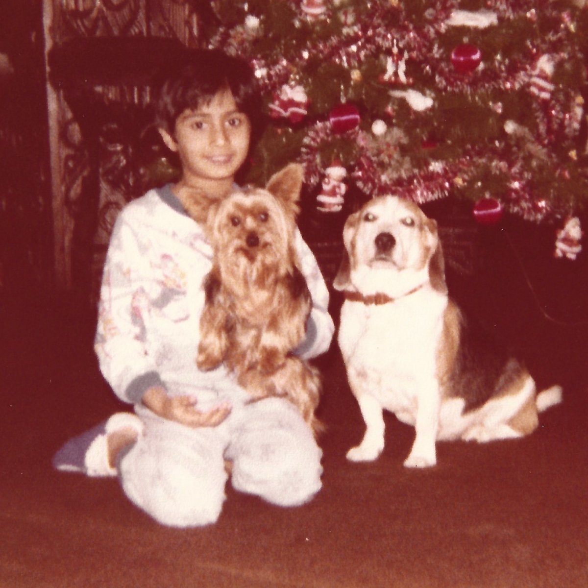 Tapan Bipin Jadav — photo 5