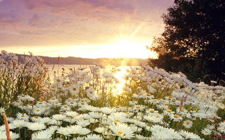 Patricia Garcia Quesada