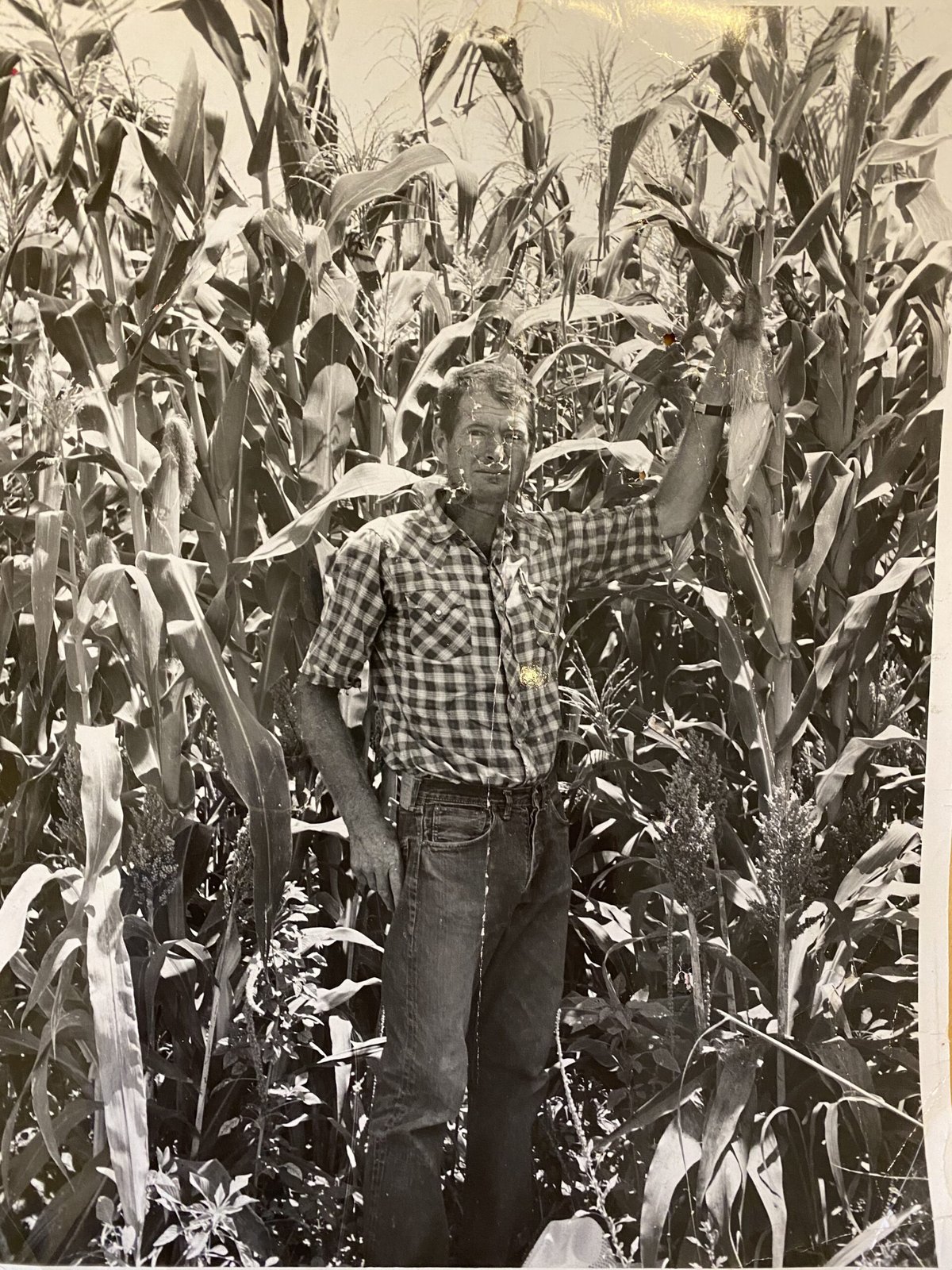 Robert Raymond Farnsworth — photo 4