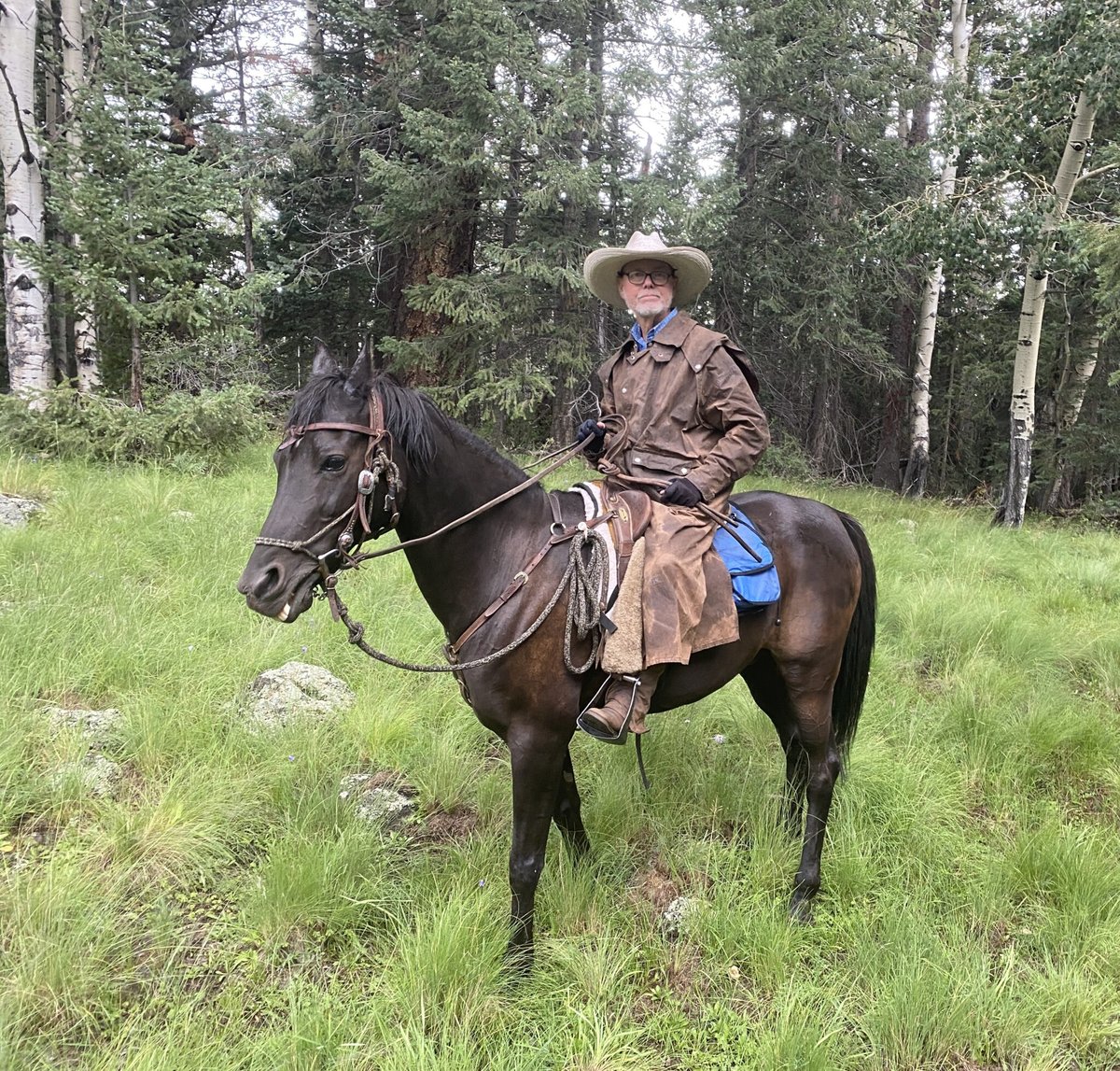 Ronald Paul Searle — photo 5