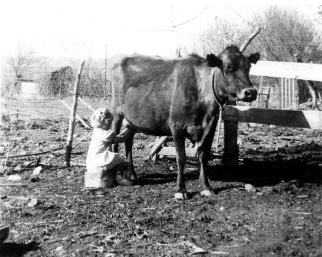 Marlene S Lemieux — photo 10