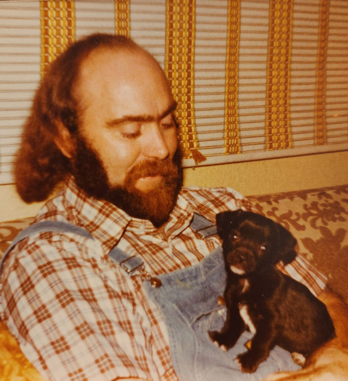 Tommy Rex Cogswell — photo 3