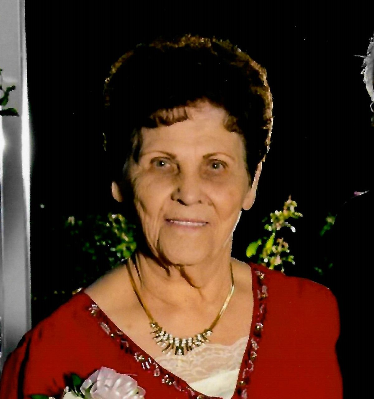 Juanita Johnson Ellis