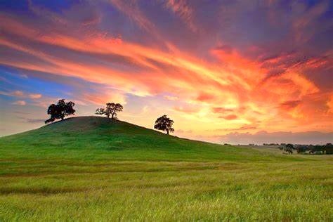 Finnley Oak Starr Udall