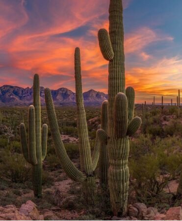 Robert Allen Langford