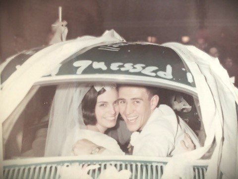 Suzanne Scherer Lines