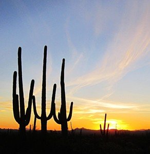 John Clayton Winstead, Jr.